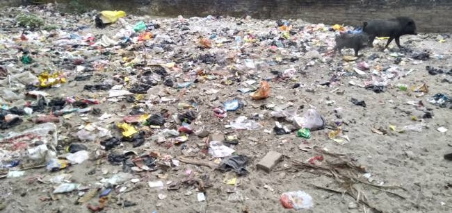 दिल्ली में एआई तकनीक से अवैध पार्किंग-कचरा फैलाने वालों का पता लगेगा