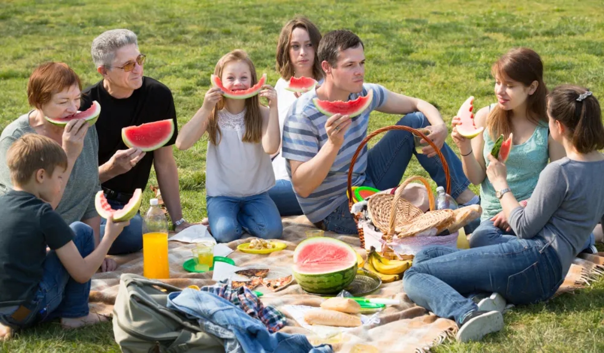 Winter Picnic Tips: सर्दियों के खुशनुमा मौसम में फ्रेंड्स, फैमिली के साथ जा रहे पिकनिक पर? तो जाने से पहले कर लें कुछ जरूरी प्लानिंग…