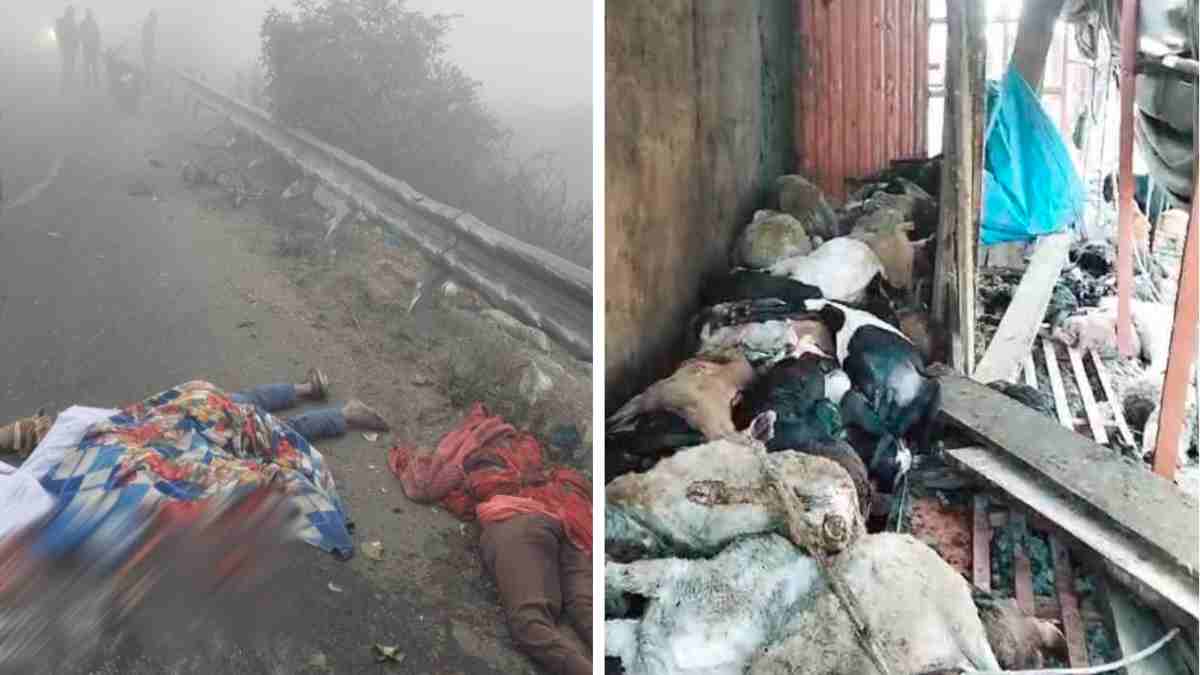 MP में कोहरा बना काल: ट्रक ने पति-पत्नी की कुचला, मौके पर तोड़ा दम, इधर Truck पलटने से 30 से 40 भेड़ बकरियों की मौत
