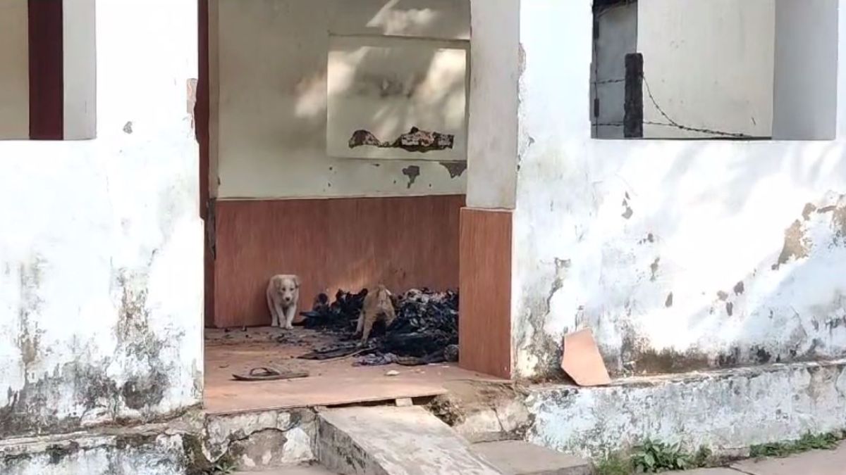MP News: लोक अभियोजक कार्यालय में जला हुआ शव मिलने से फैली सनसनी, जांच में जुटी पुलिस