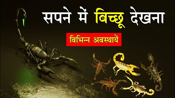 Scorpion In Dream: सपने में दिखाई देता है बिच्छू, तो जाने क्या है इसका अर्थ