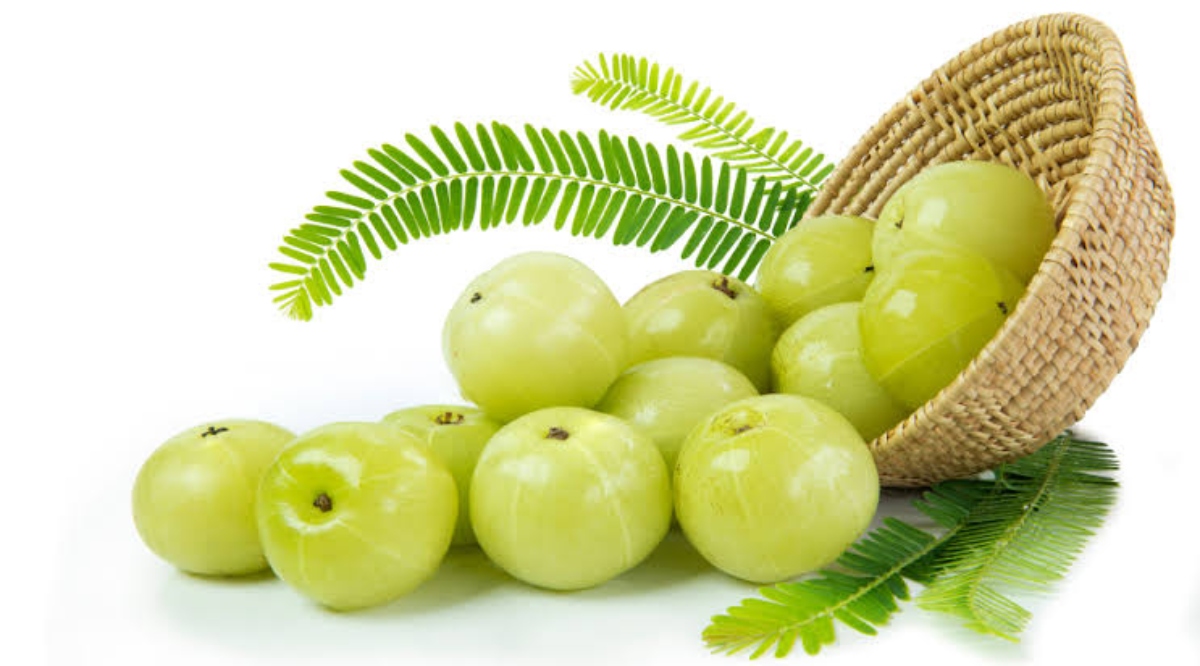 Amla Recipes: सर्दियों के मौसम में रहती है आंवले की बहार, try करें ये सभी healthy और स्वादिष्ट recipes…