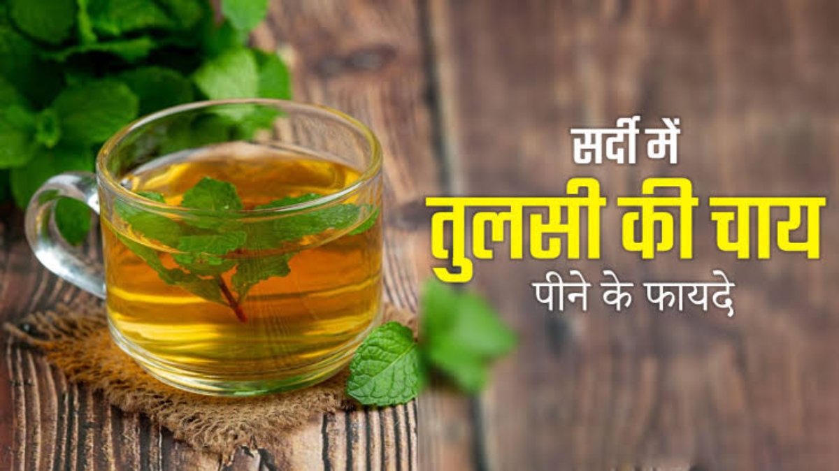 Tulsi Tea For Winters: ठंड के मौसम में इम्यूनिटी को स्ट्रांग करती है तुलसी की चाय ,सिर दर्द- घुटने के दर्द से दिलाए राहत…