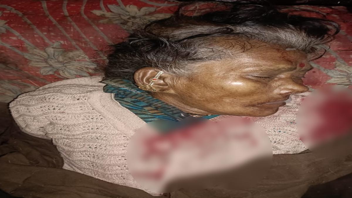कुत्ते के विवाद में महिला की जान चली गईः रात को भौंक रहा था कुत्ता, पड़ोसी ने महिला को मारी लात, मौत