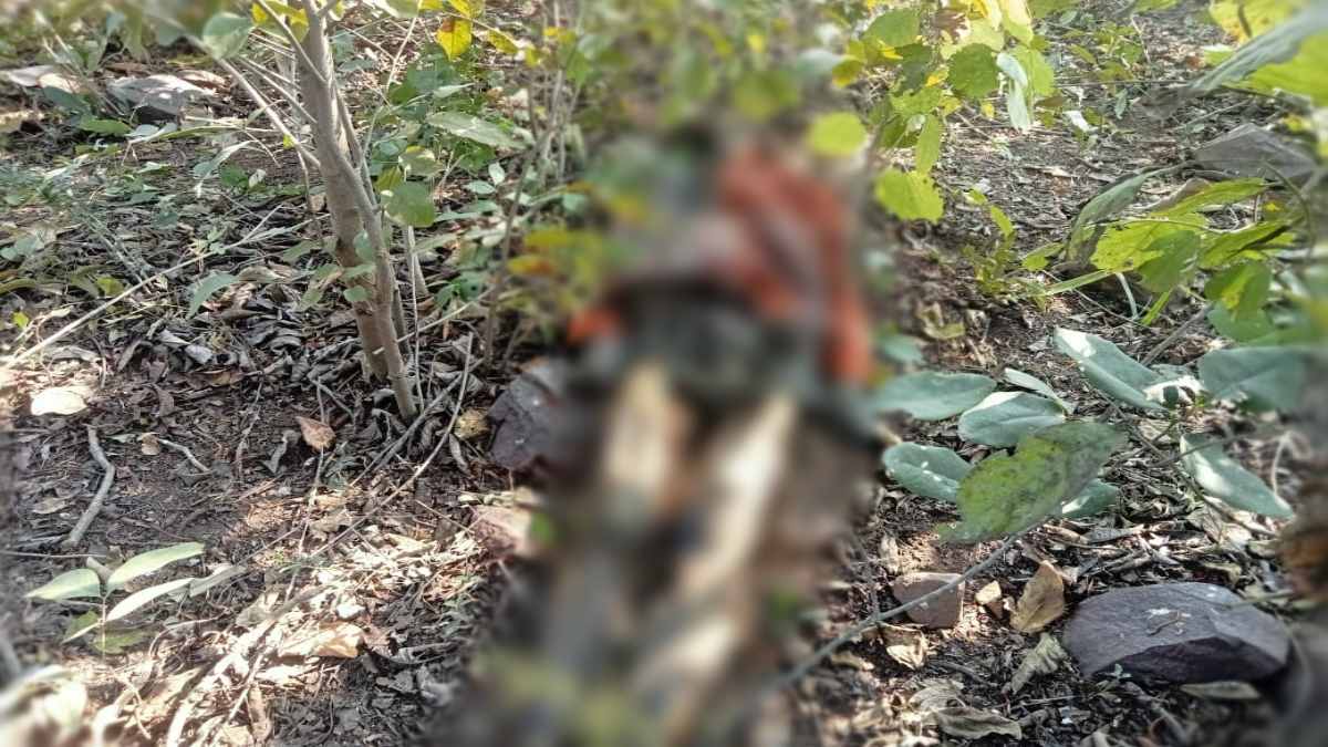 महीनेभर से लापता युवक का जंगल में मिला शव, हत्या की आशंका, जांच में जुटी पुलिस
