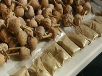 Rajasthan News: 5.35 करोड़ रुपए का अफीम डोडा पोस्त जब्त, तस्कर गिरफ्तार