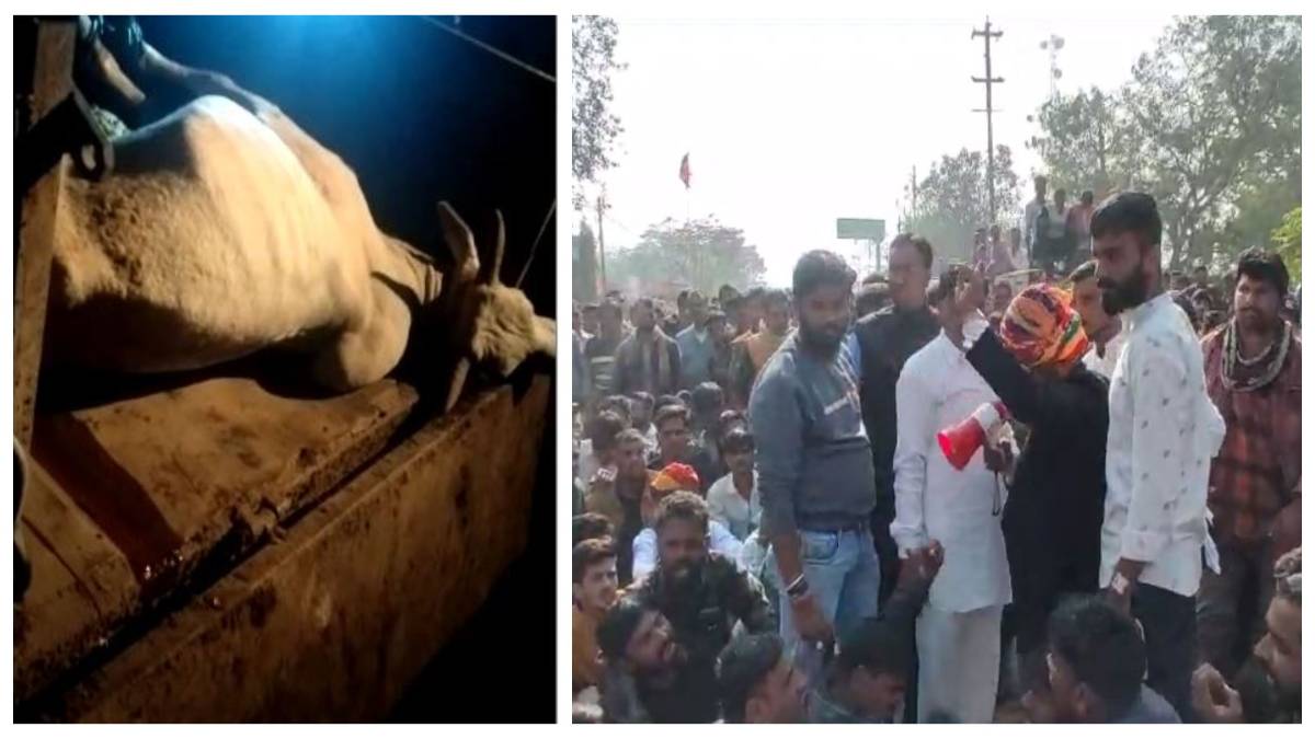 हैवानियत की सारी हदें पार: अमानवीय क्रूरता से गोवंश की मौत, 4 आरोपी गिरफ्तार, हिन्दू संगठन कार्यकर्ताओं ने की ये मांग