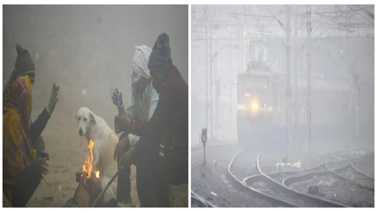 MP Weather Condition: कड़ाके की ठंड ने बढ़ाई मुश्किल, कोहरे से धीमी हुई ट्रेनों की रफ्तार, इन जिलों में मौसम विभाग का अलर्ट