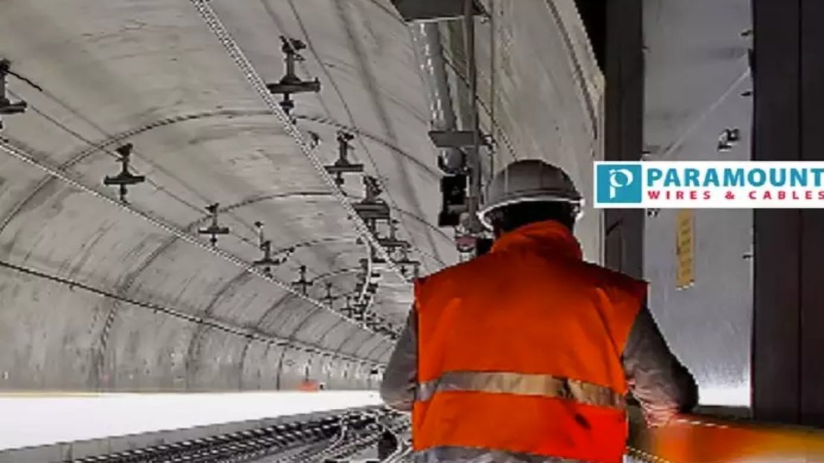 Paramount Cables share price : इस कंपनी के शेयर ने निवेशकों को किया मालामाल, आप भी लगा सकते हैं दांव