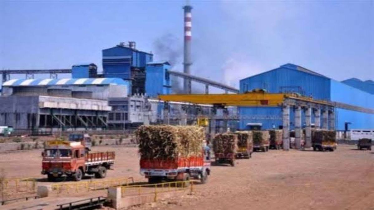 महंगाई की दस्तक! चीनी के उत्पादन में लगातार आ रही गिरावट