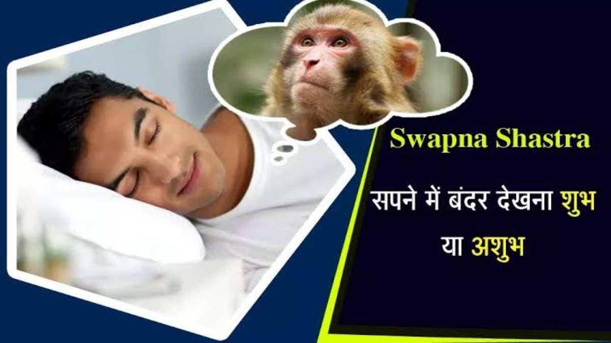 सपने में दिखे हंसता हुआ बंदर, या फिर गुस्से वाला बंदर तो जाने क्या है उसका मतलब …