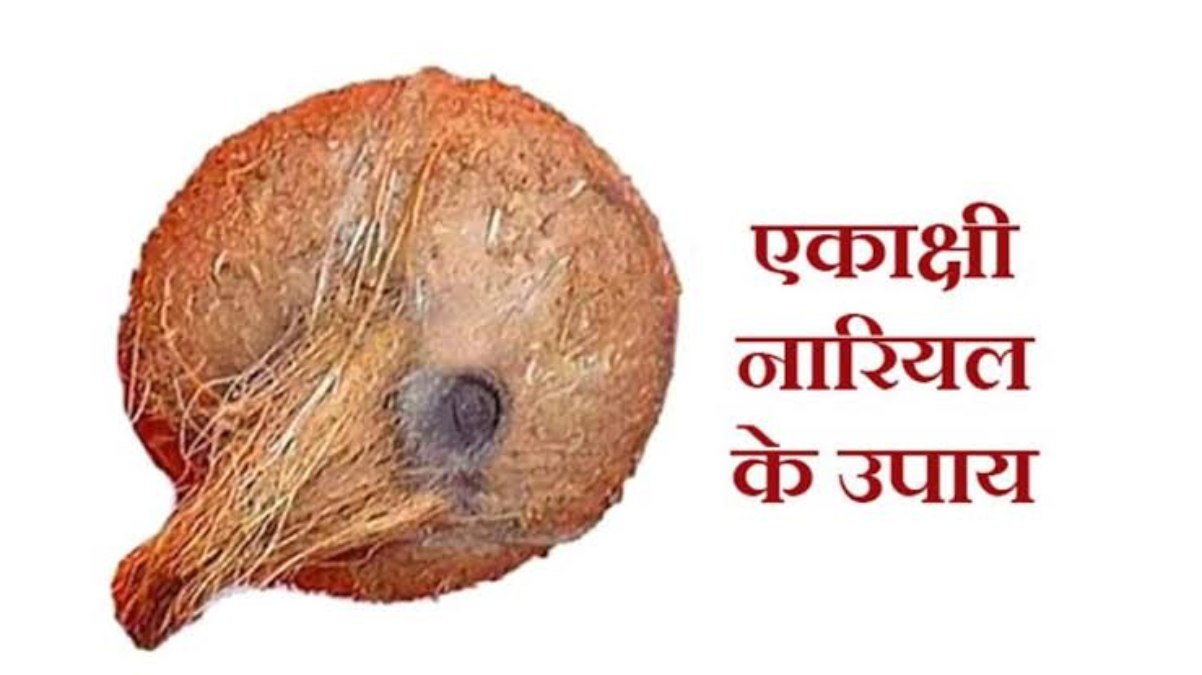 शुक्रवार के दिन एकाक्षी नारियल से करें ये कुछ उपाय, आप भी बन सकते हैं मालामाल …