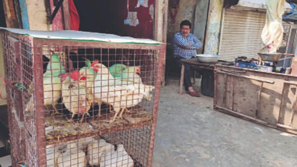 Odisha News : CMC ने कटक में सड़क किनारे मुर्गी पालन और मांस की दुकानों पर की छापेमारी, विक्रेताओं ने लगाया उत्पीड़न का आरोप
