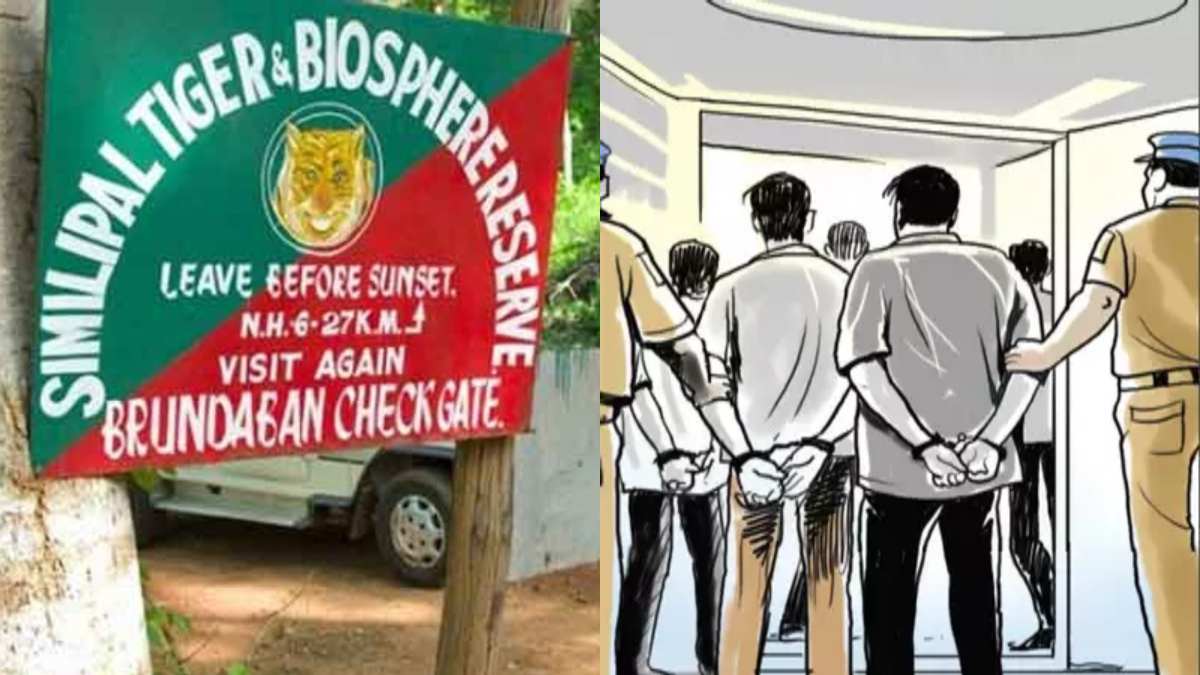 सिमिलिपाल टाइगर रिजर्व में वन विभाग की बड़ी कार्रवाई, 4 शिकारी और 2 लकड़ी तस्करों को किया गिरफ्तार