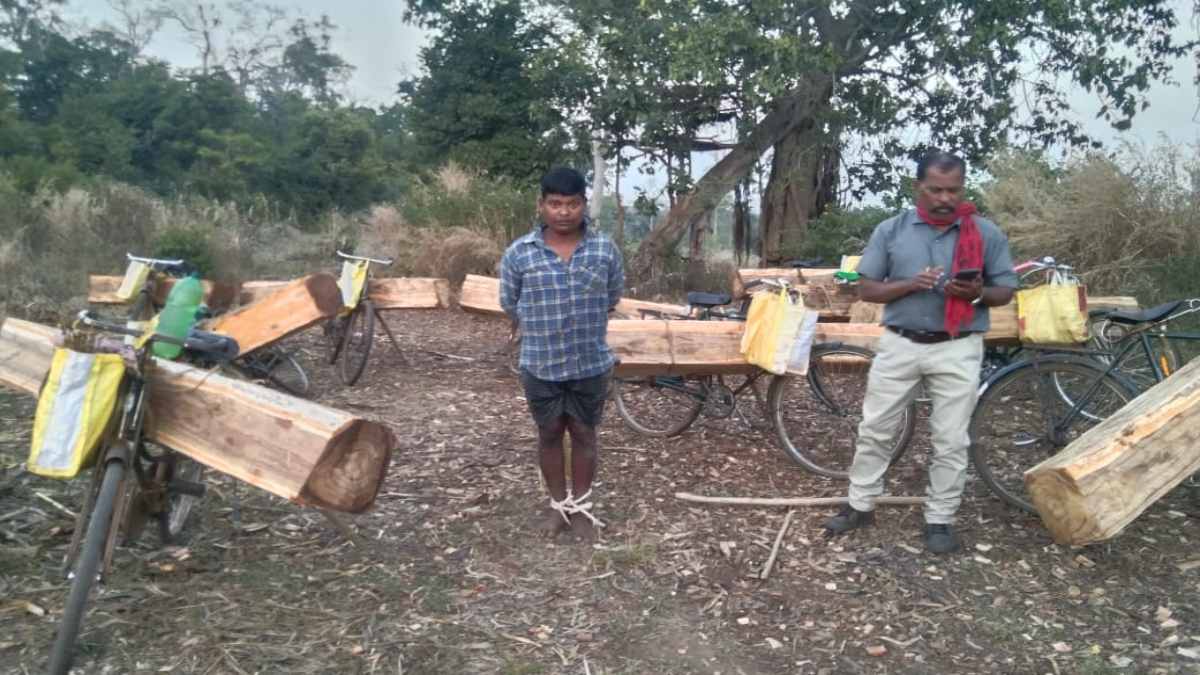 छत्तीसगढ़ में फिल्म पुष्पा की तरह नदी में बहाकर बेशकीमती लकड़ी की तस्करी, गैंग पर शिकंजा कसने अभ्यारण्य प्रशासन ने शुरू की कार्रवाई