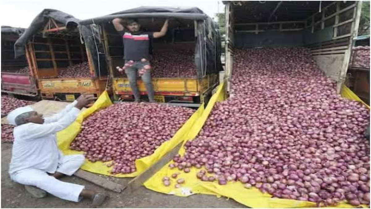 Onion Price : 1 रुपये 40 पैसे में बिका एक क‍िलो प्याज, गाड़ी भाड़ा तक नहीं वसूल पाए, खेत में ही प्याज छोड़कर चले गए किसान