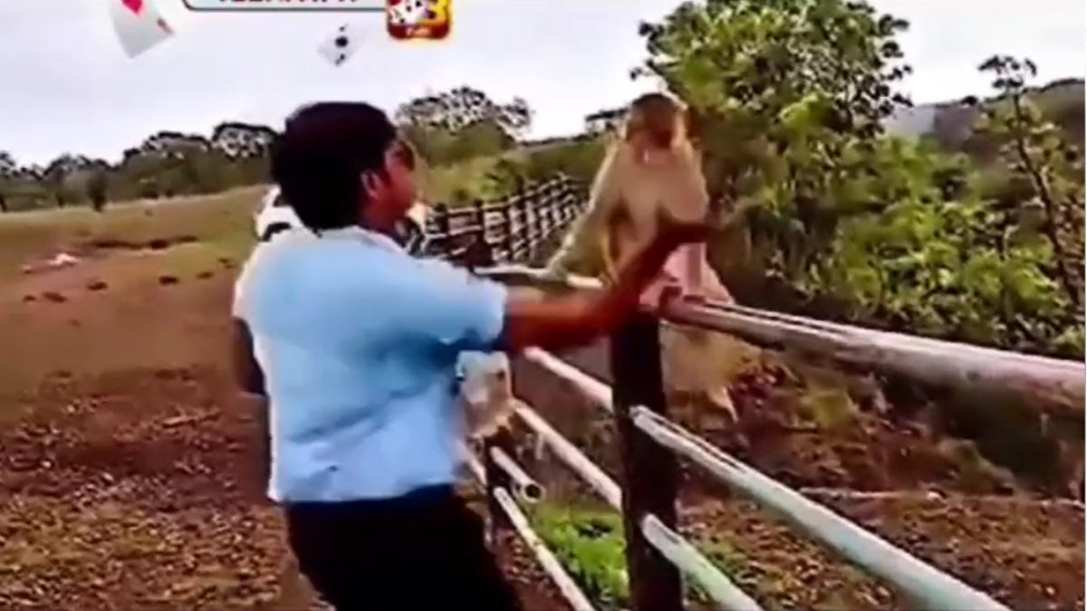युवक ने बंदर के साथ किया ऐसा कामः मामला पहुंच गया थाने, देखें वीडियो