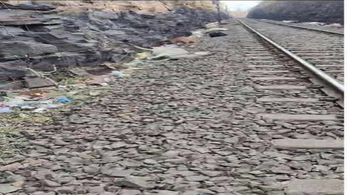 अमरकंटक एक्सप्रेस ट्रेन के सामने आया गायों का झुंडः 40 गायें कटी 5 घायल, आरपीएफ जांच में जुटी