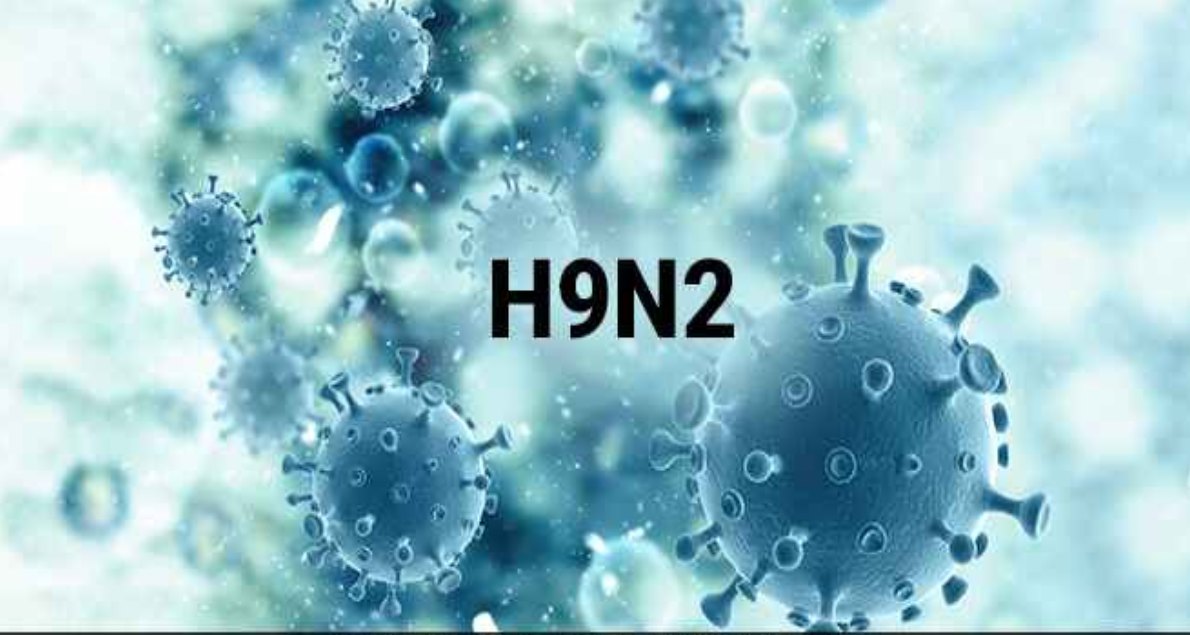 H9N2 चाइनीस इनफ्लुएंजा का बढ़ा प्रकोपः केंद्र सरकार जारी की एडवाइजरी, बच्चों में तेजी से फैलता है वायरस