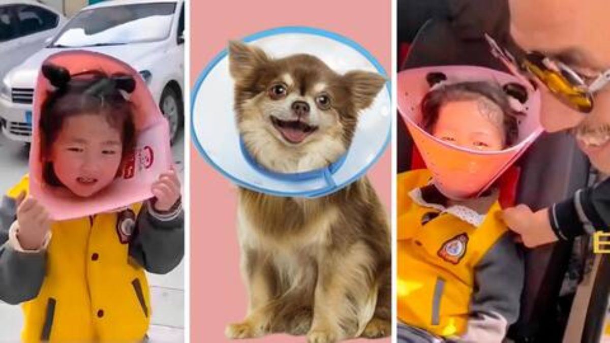 Phone Addiction : बच्चों को फोन की लत छुड़ाने का दादा ने निकाला यह अनोखा तरीका