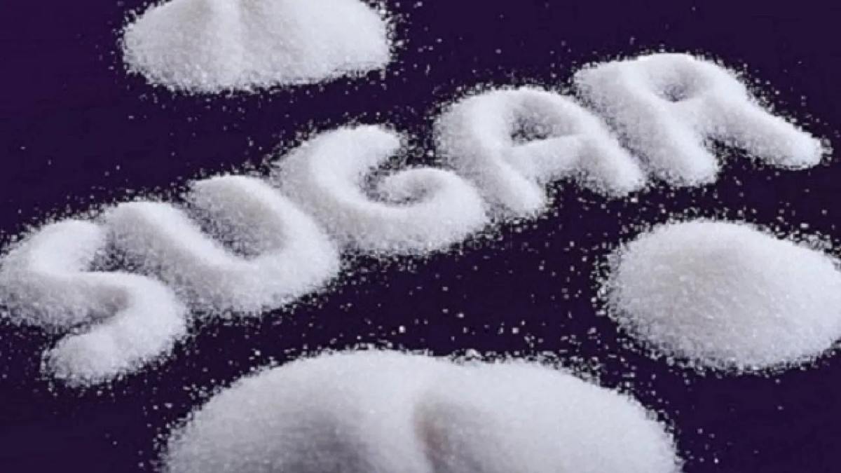 Sugar Share Price: शुगर कंपनियों के शेयर में जबरदस्त गिरावट, निवेशकों में मचा हड़कंप