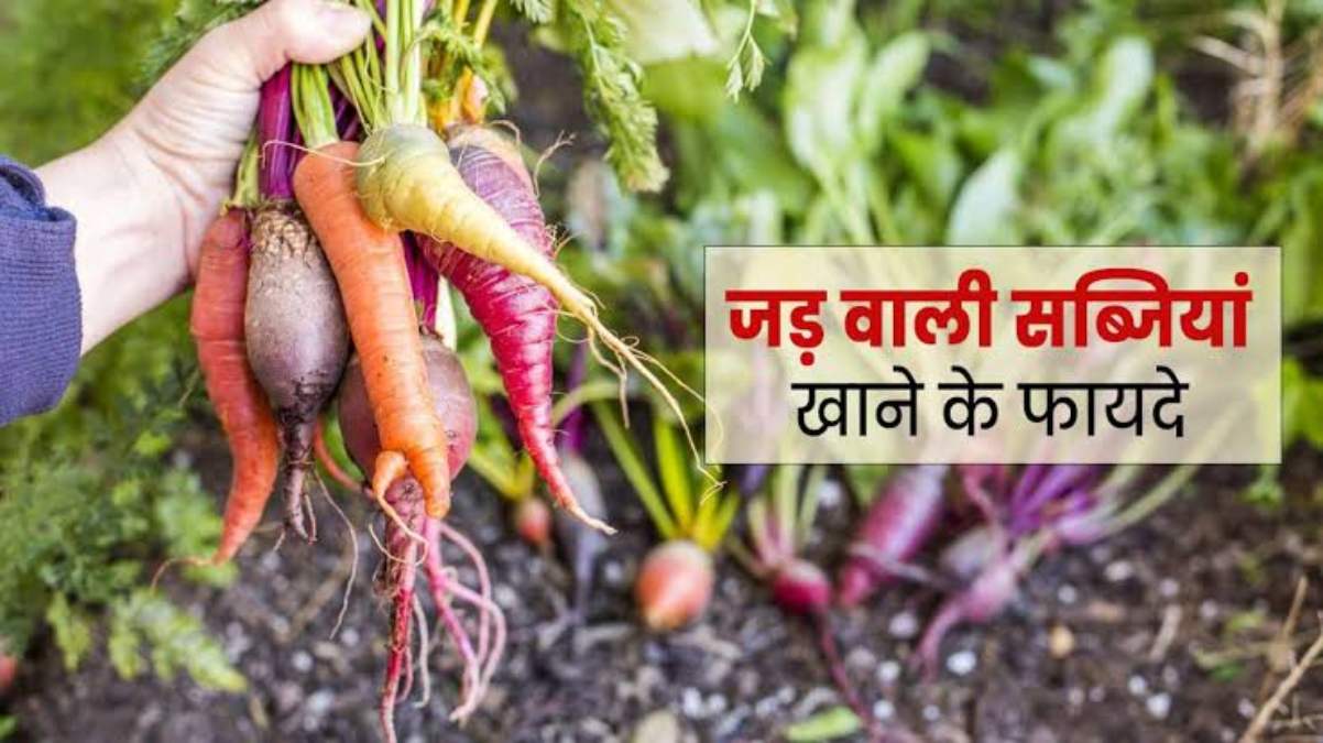 ठंड में काफी अच्छे आते हैं ये सभी जड़ वाली सब्जियां, इन्हें खाकर बनाएं सेहत और लें इसका भरपूर फायदा …