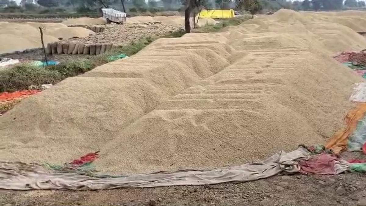 धान खरीदी केंद्रों की मॉनिटरिंग करेगा उड़नदस्ताः सात सदस्यीय दल में कृषि विभाग के अधिकारी भी शामिल