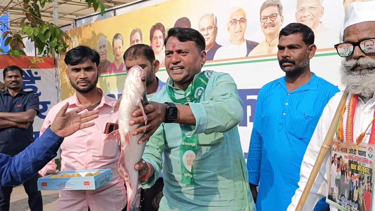 CG Election Result 2023 : 90 विधानसभा सीटों में भाजपा और कांग्रेस के बीच कड़ी टक्कर, कांग्रेस मुख्यालय में मछली लेकर पहुंचे कार्यकर्ता, देखें VIDEO …