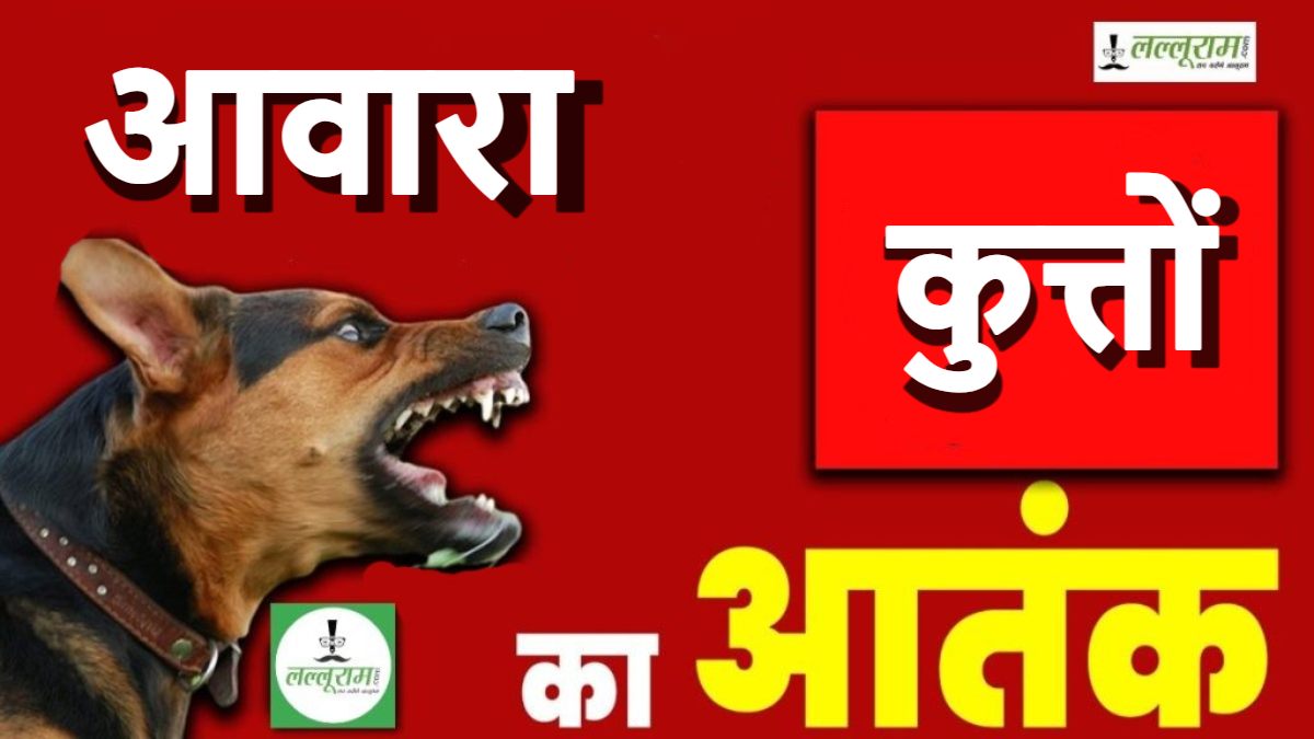 फिर बढ़ा आवारा कुत्तों का आतंक: होली के बाद सामने आए 200 से अधिक मामले, रेबीज इंजेक्शन लगवाने अस्पतालों में लगी भीड़