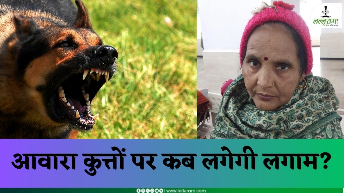 आवारा कुत्तों पर कब लगेगी लगाम ? महिला को बुरी तरह नोचा, पैर में लगे 12 टांके, जख्म देख सिहर उठेंगे आप
