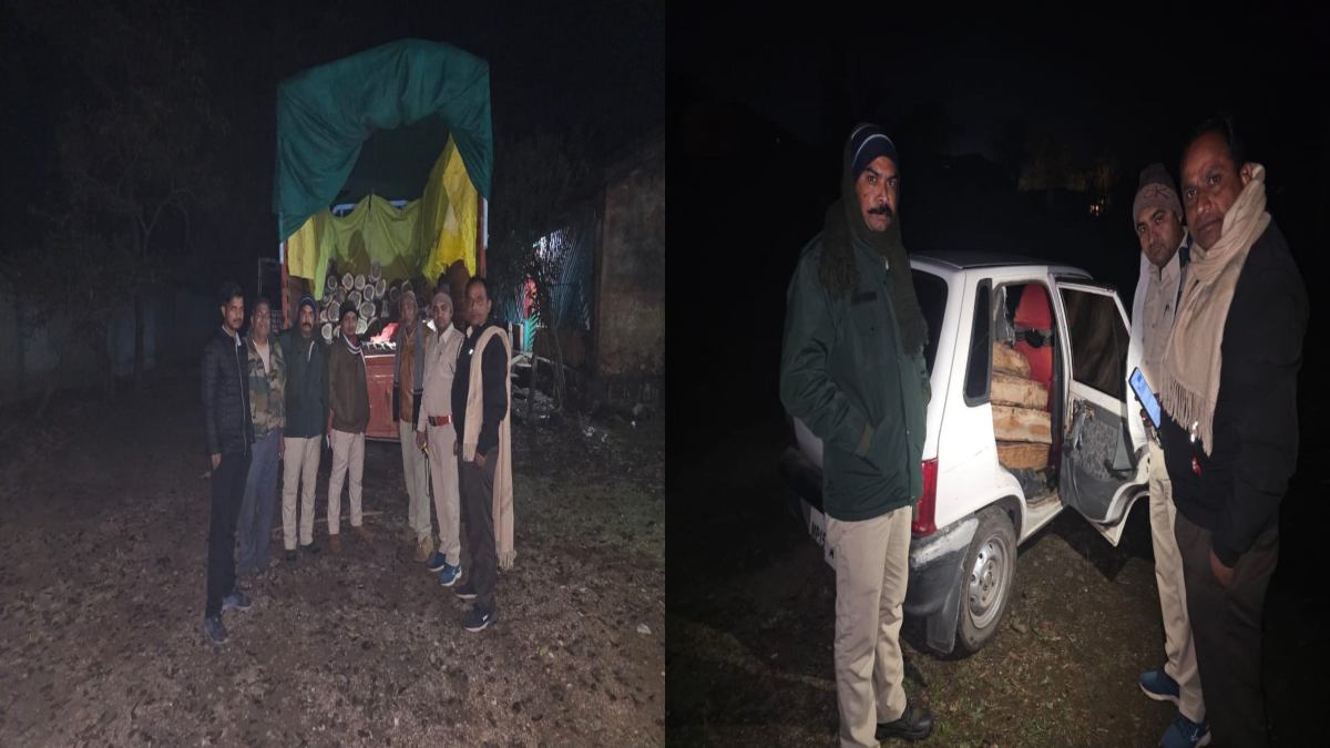 वन विभाग की बड़ी कार्रवाई: डेढ़ लाख रुपए की सागौन की सिल्लियां बरामद, ट्रक और कार जब्त