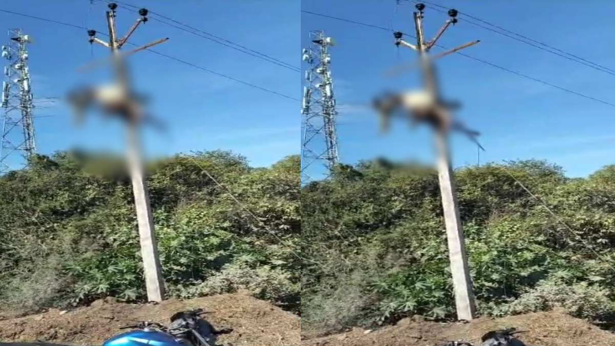 करंट की चपेट में आउटसोर्स कर्मचारी: खंभे पर काम के करने दौरान हुआ हादसा, गंभीर हालत में अस्पताल में भर्ती