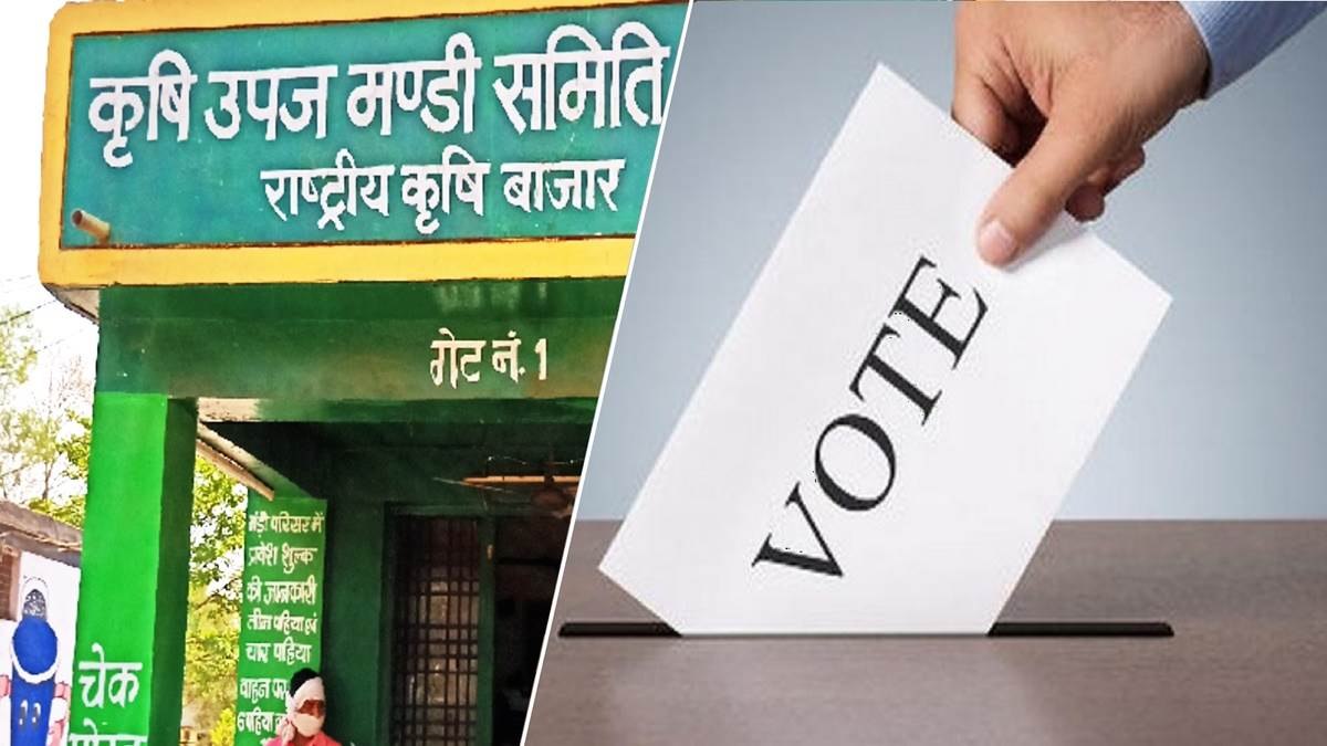 बड़ी खबरः लोकसभा चुनाव के बाद होगा मंडी चुनाव, मंडी बोर्ड की समीक्षा बैठक में कृषि मंत्री ने दिए निर्देश
