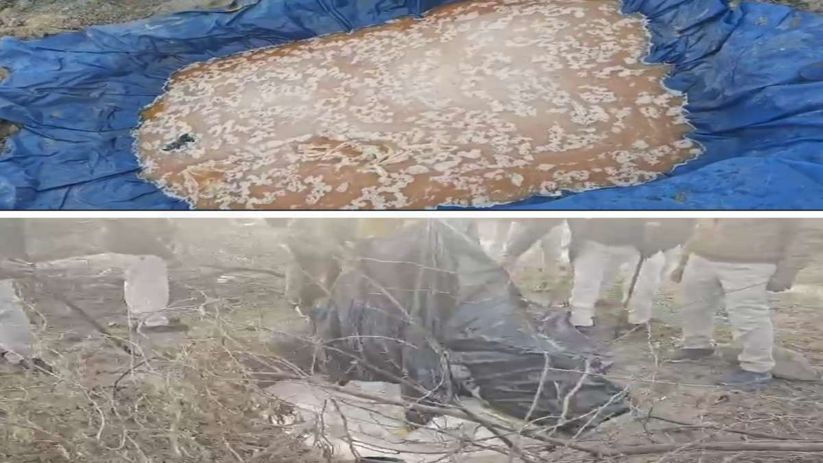 आबकारी विभाग की बड़ी कार्रवाई: कंजरों के डेरों से भारी मात्रा में अवैध शराब जब्त, 5 के खिलाफ मामला दर्ज