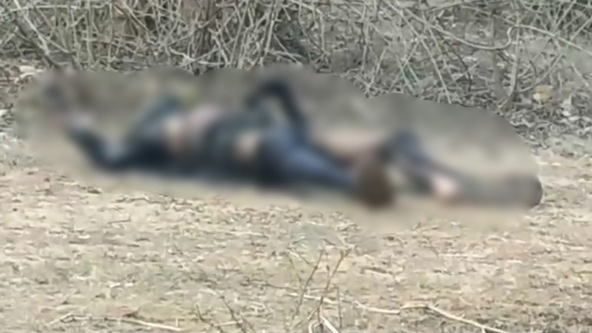 फारेस्ट प्लांटेशन में अधजला शव मिलने से हड़कंप, हत्या के बाद जलाने की आशंका