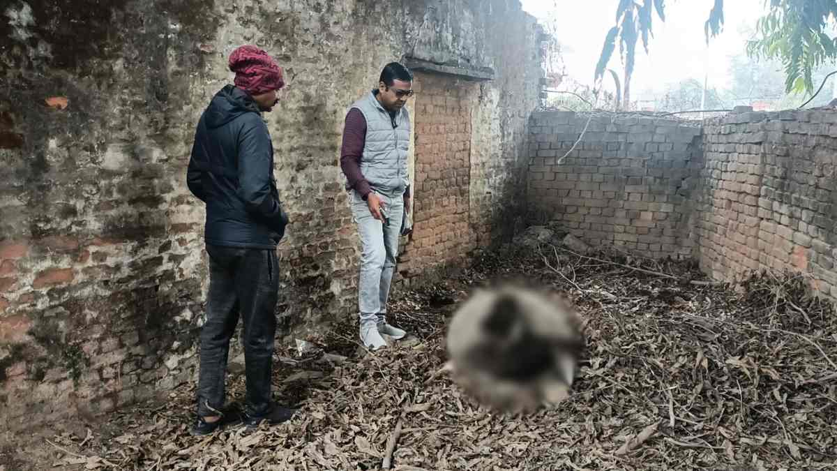 Shahdol News: ठंड से गाय की मौत, मौके पर पहुंची नगर पालिका की टीम