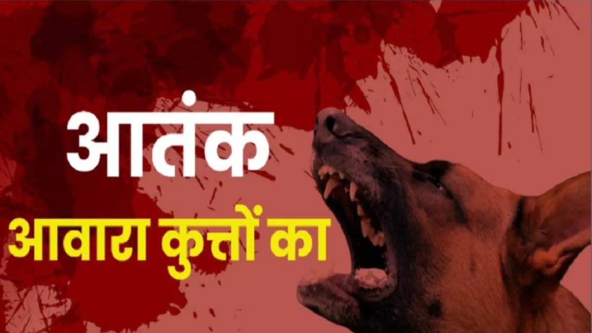 कुत्तों की दहशत… कब मिलेगी राहत ? राजधानी में फिर दिखा कुत्तों का आतंक, मासूम समेत 4 लोगों को बनाया शिकार 