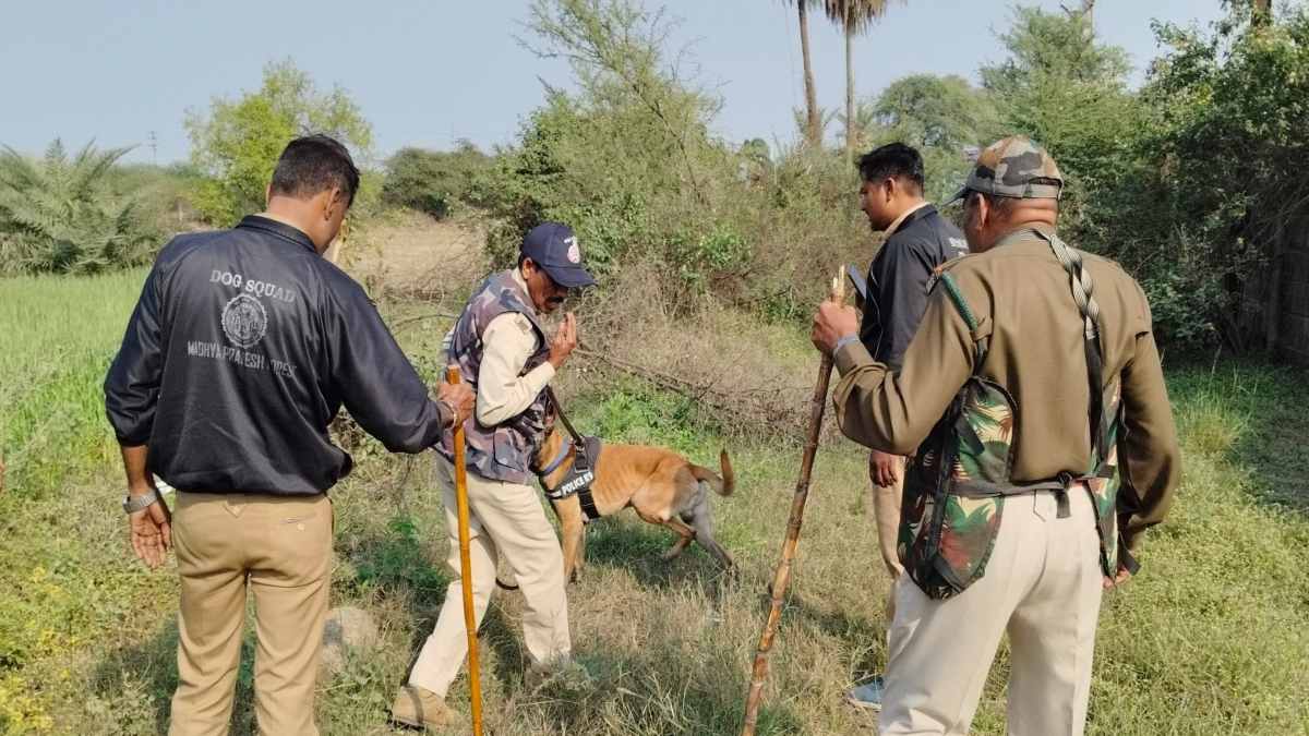 तेंदुए ने फिर किया हमला: पिछले 15 दिनों से तलाश कर रही वन विभाग की टीम, संसाधनों की कमी ने बढ़ाई मुश्किलें, अब जाकर खरीदा टॉर्च