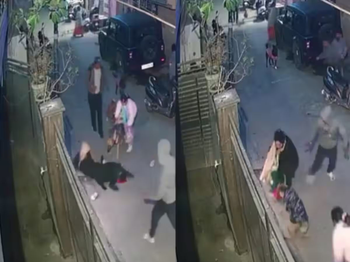 पड़ोसी के पालतू कुत्तों ने बच्चे को नोचा, एफआईआऱ दर्ज