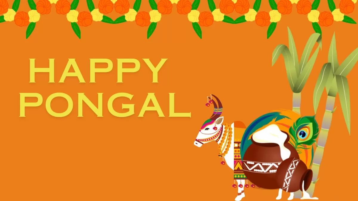 पोंगल पर्व को लेकर आप शायद ही जानते होंगे ये बात