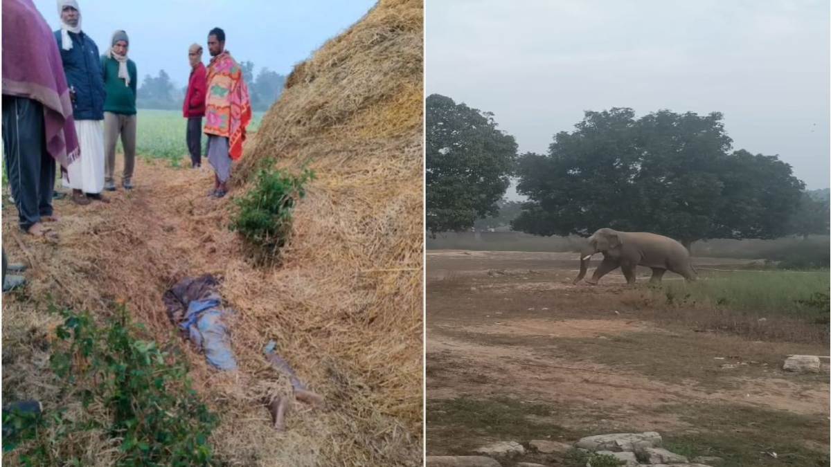 गजराज ने वृद्धा को कुचला, 3 दिन में दो की मौत, इलाके में विचरण कर रहा 30 हाथियों का दल