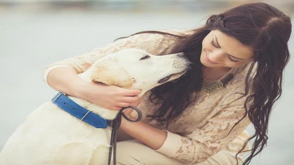 Pet Lovers पर प्रशासन का एक्शन: कुत्तों के खिलाफ कार्रवाई में बाधक बने डॉग लवर्स, 10 पर FIR दर्ज