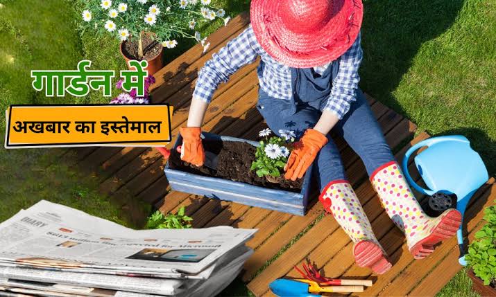 Gardening Tips : आप भी वेस्ट समझ के बेच देते हैं अखबार, तो इस तरह गार्डनिंग में करें इसका इस्तेमाल …