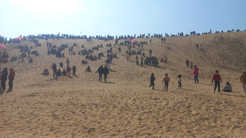 Rajasthan News: ऊंट महोत्सव- 2024, तीन दिवसीय महोत्सव का हुआ समापन, रेगिस्तानी धोरों में आयोजित विभिन्न प्रतियोगिता रही आकर्षण का केंद्र
