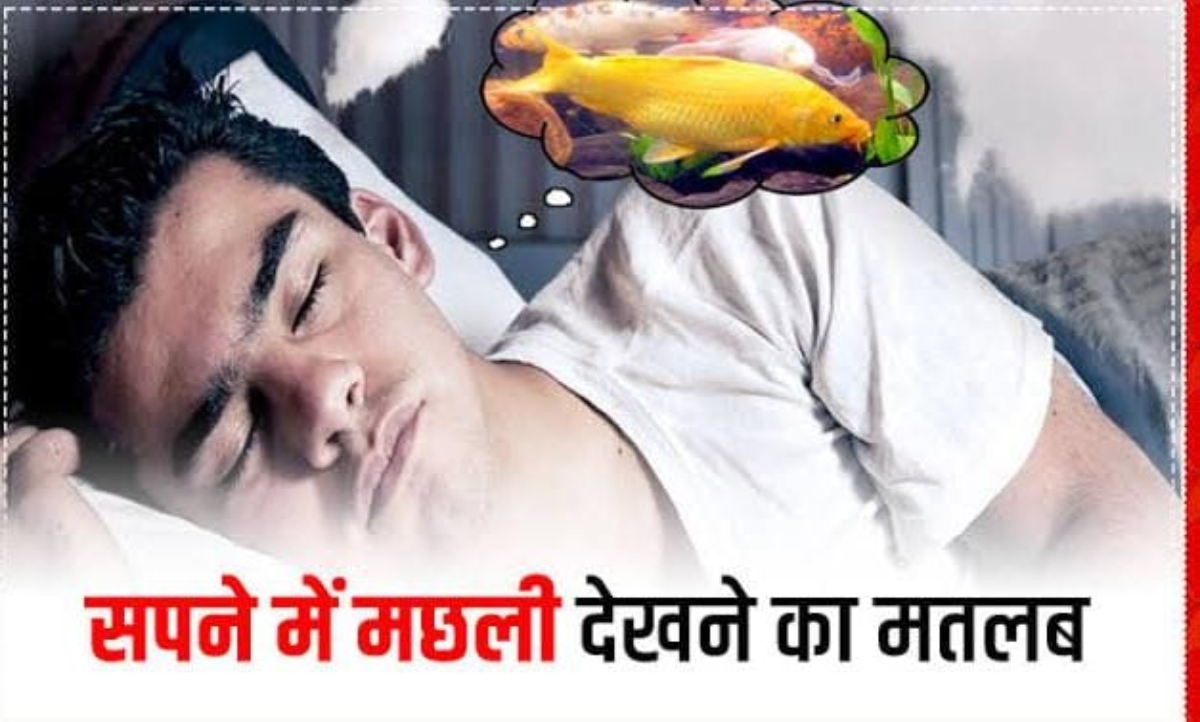 अगर सपने में दिखाई देती है अक्सर मछलियां, तो यहां जाने क्या है इसका संकेत