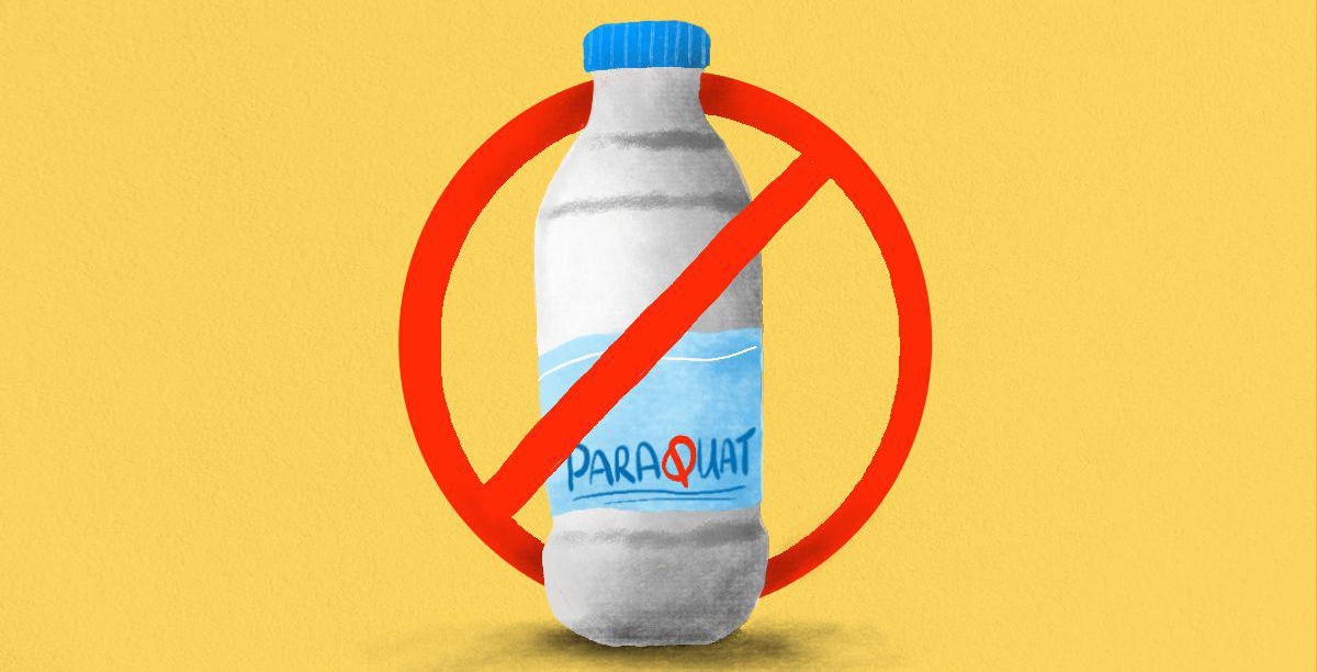 Paraquat Banned in Odisha: ओडिशा में पैराक्वाट की बिक्री, वितरण, विनिर्माण, उपयोग पर तत्काल प्रतिबंध का आदेश जारी