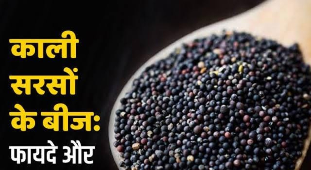Kali Sarso Ke Fayde: सेहत के लिए वरदान है काली सरसों का सेवन, यहां जाने इसके फायदे