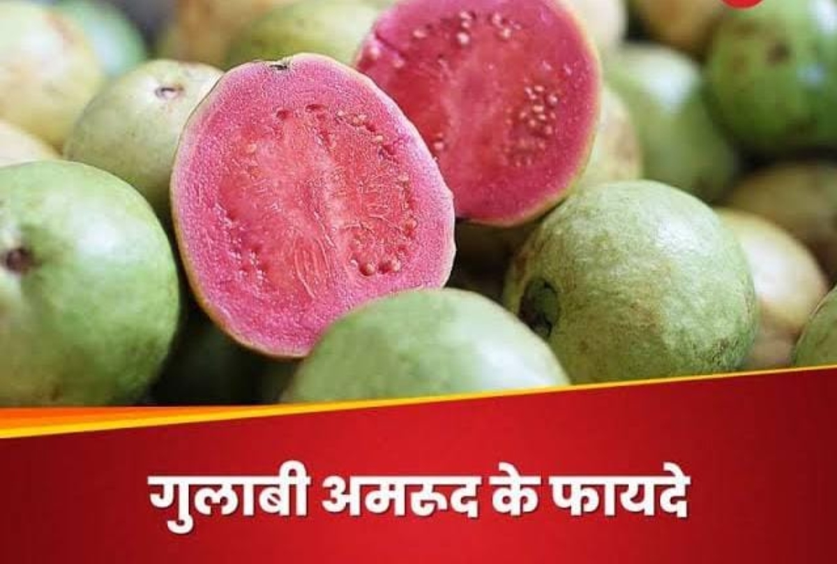 Gulabi Amrud ke Fayde: गुलाबी अमरूद है गुणों का पावर हाउस, खाने से मिलते हैं अनगिनत फायदे