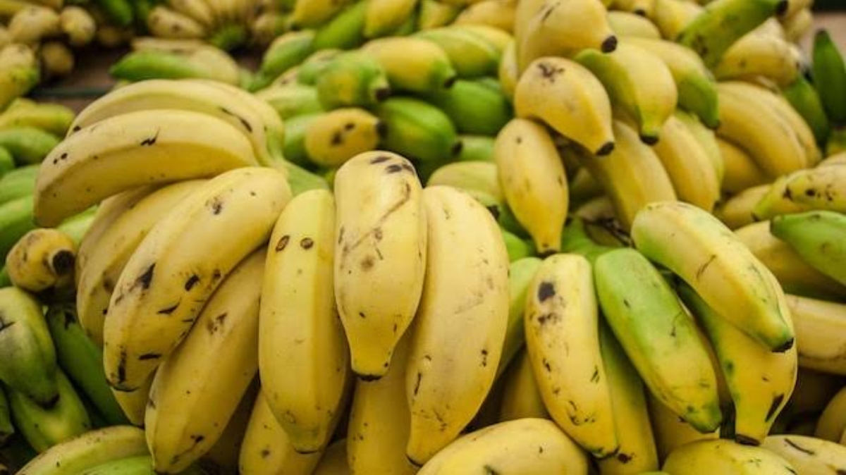 मंकी किंग: खाना होगा केला और मिलेंगे 70000