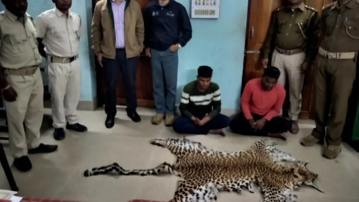 Odisha News: बौध जिले में तेंदुए की खाल जब्त, 2 वन्यजीव तस्कर हुए गिरफ्तार